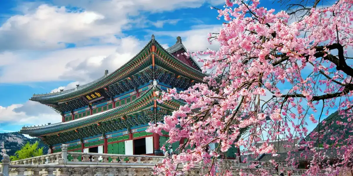 How Much Bank Balance is Required for a South Korea Tourist Visa