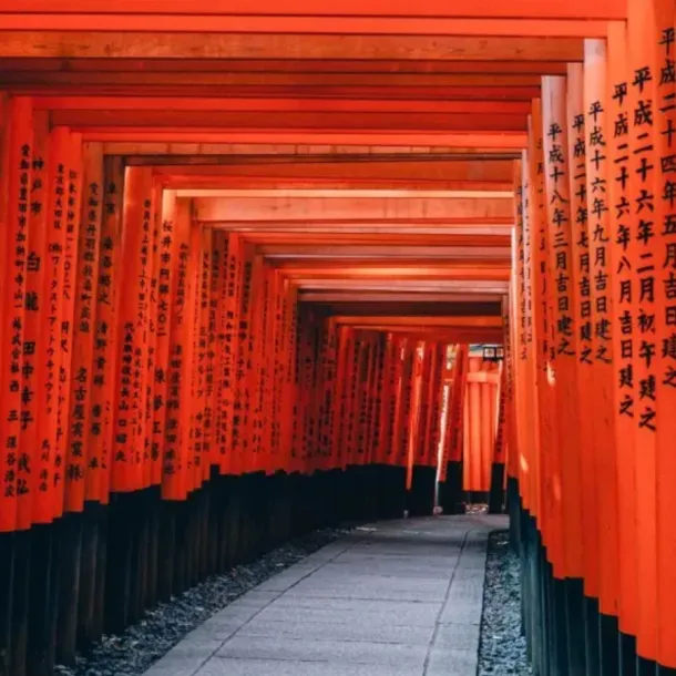 Visa processing for studying in Sydney