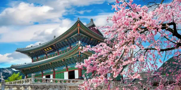 How Much Bank Balance is Required for a South Korea Tourist Visa